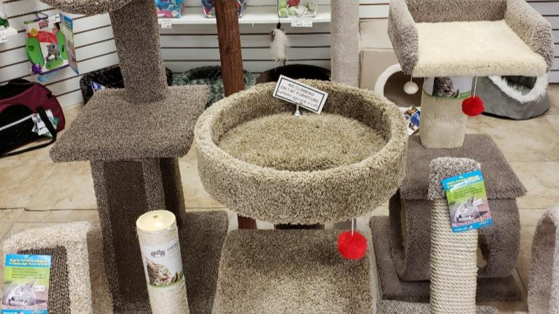 15% OFF All Cat Furniture