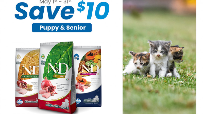 Farmina Puppy & Kitten up to $10 off