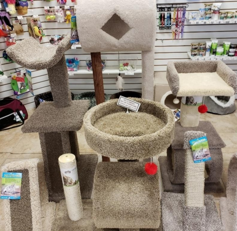 Cat Furniture 15% off
