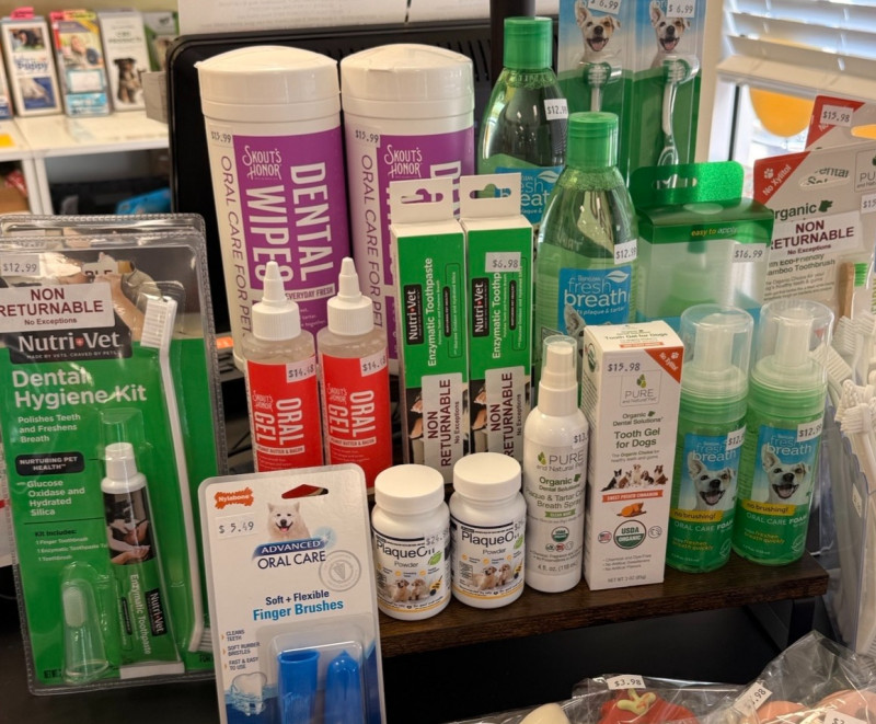 Dental Month SALE 15% OFF