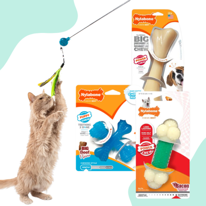 15% OFF Toy Sale