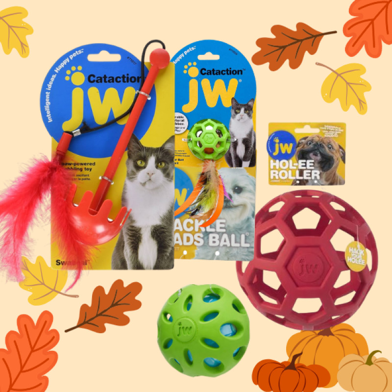 15% OFF JW Toys