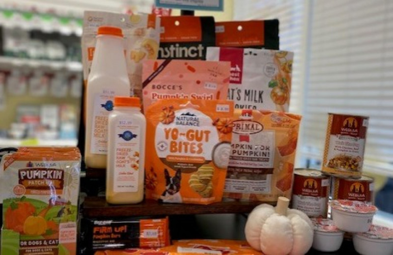 Pumpkin Sale 15% OFF select items