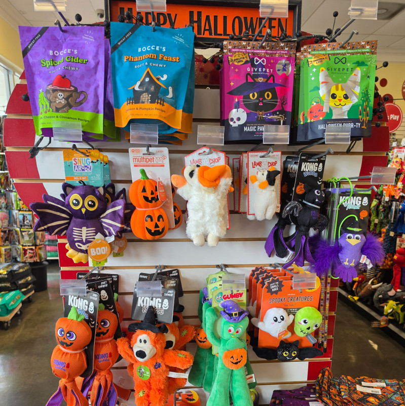 Halloween 20% OFF