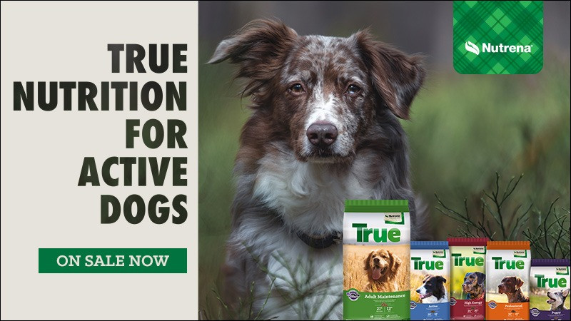 Nutrena® True Pet Foods