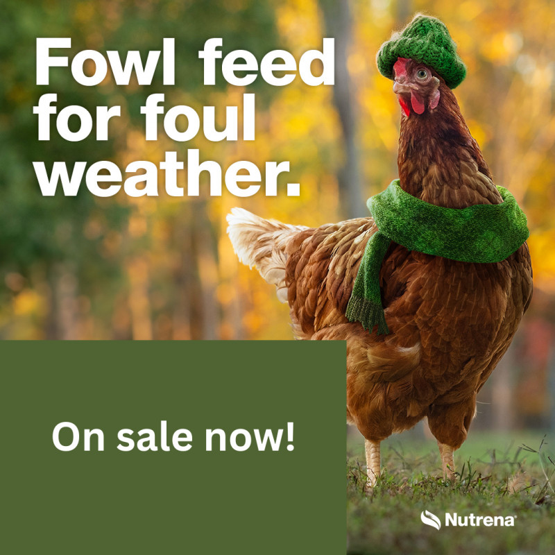 Fall Poultry Promo