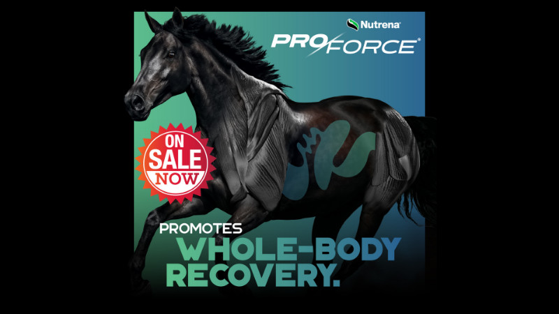 ProForce Savings