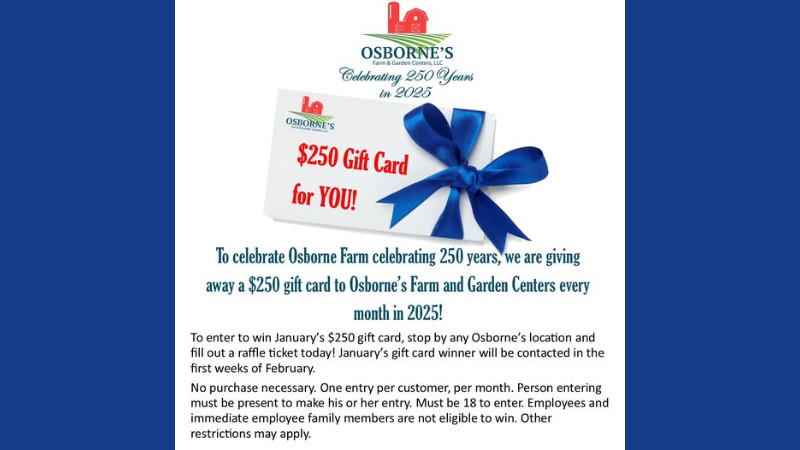 January $250 Gift Card Giveaway