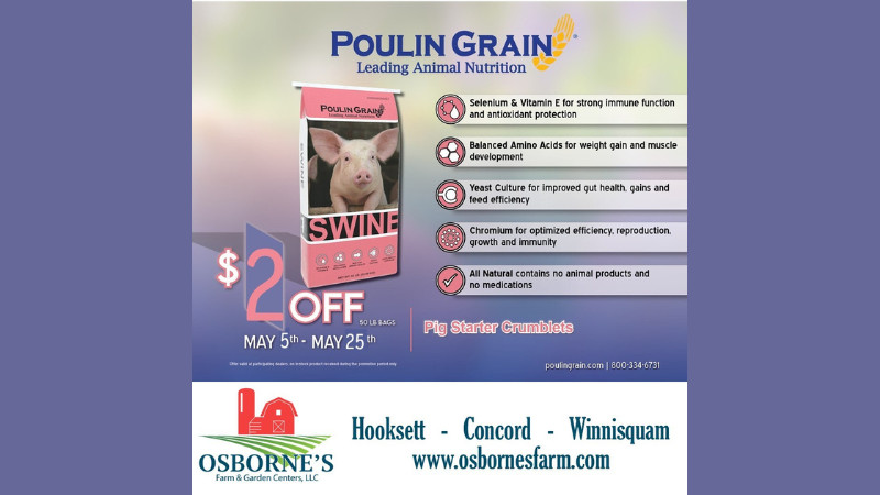 Poulin Grain Pig Starter Promo