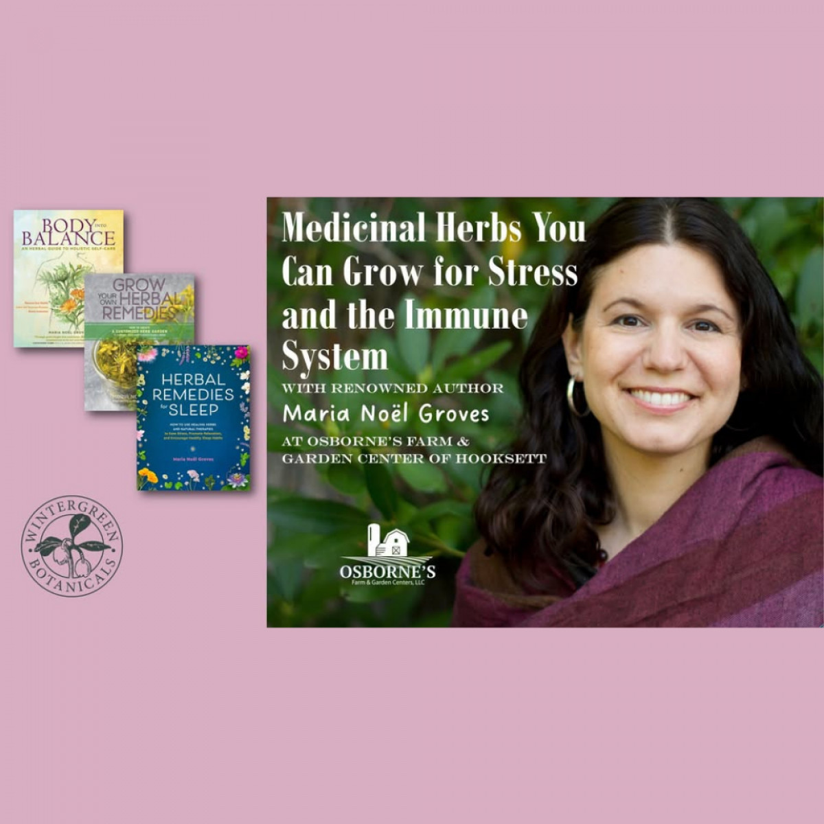 Medicinal Herbs You Can Grow For Stress And The Immune System With Maria Noel