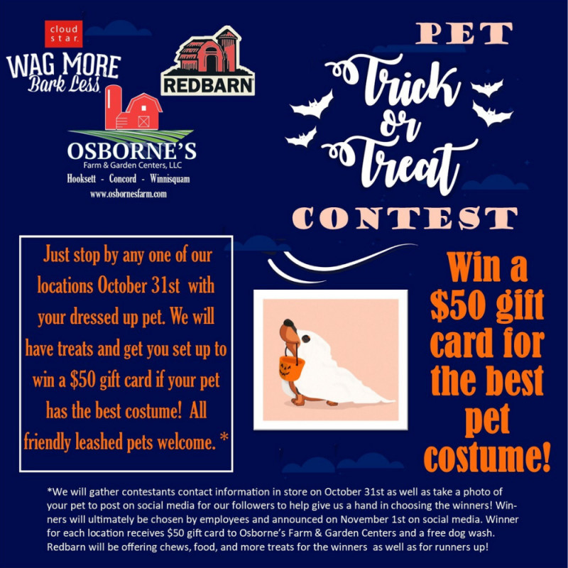 Pet Trick or Treat Contest 🎃