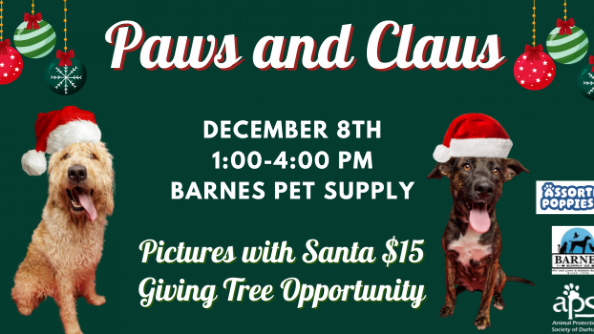 Photos With Santa!