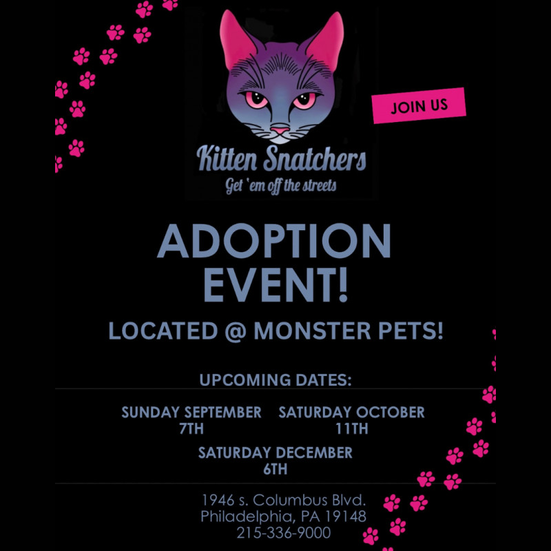 Kitchen Snatchers Adoption Event