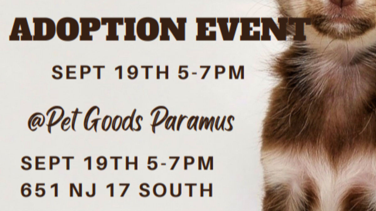 Heaven Can Wait Adoption Event