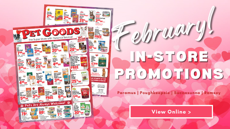 February Savings | All Locations!