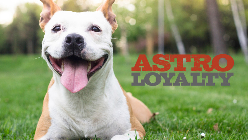 Astro Loyalty Program