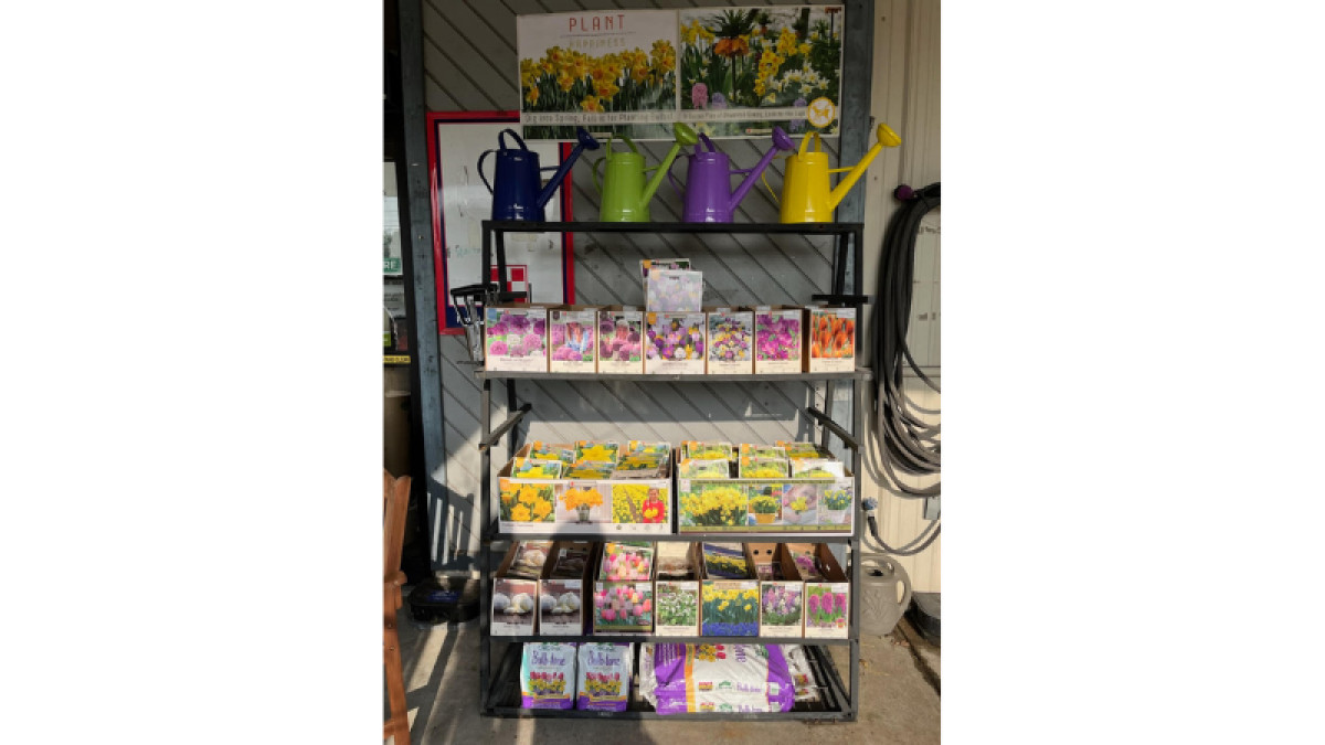 Fall Bulbs Are On Display!