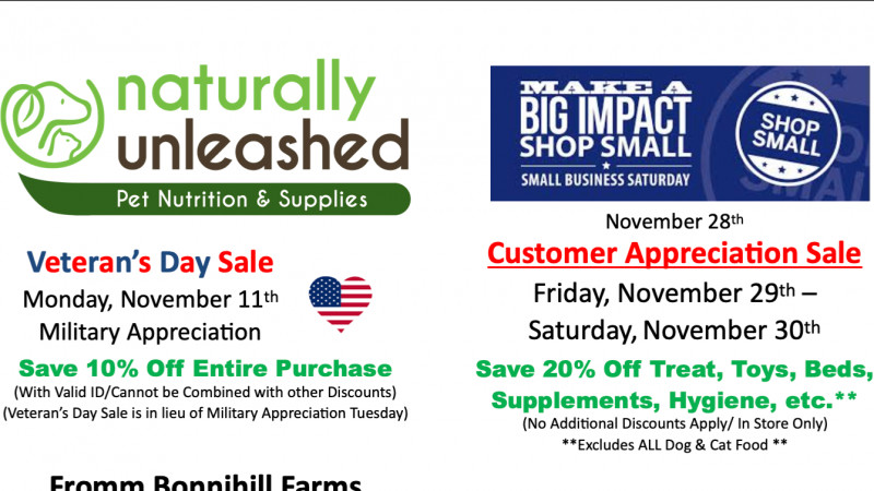 November Sales Flyer