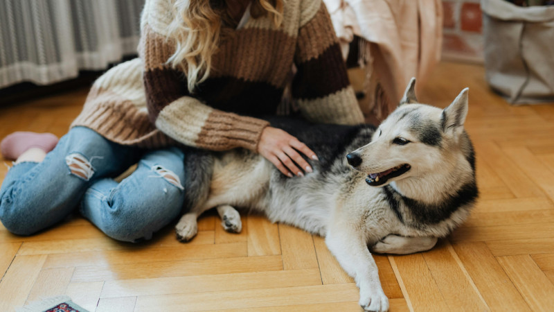 November Sales Flyer