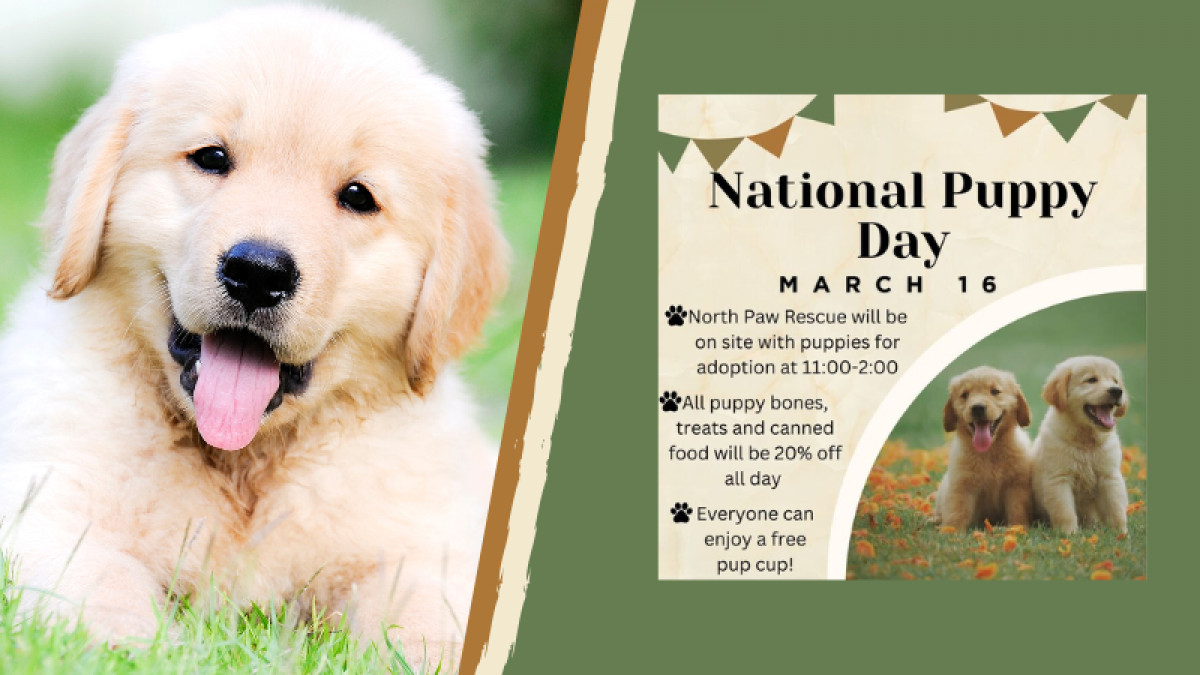 National Puppy Day
