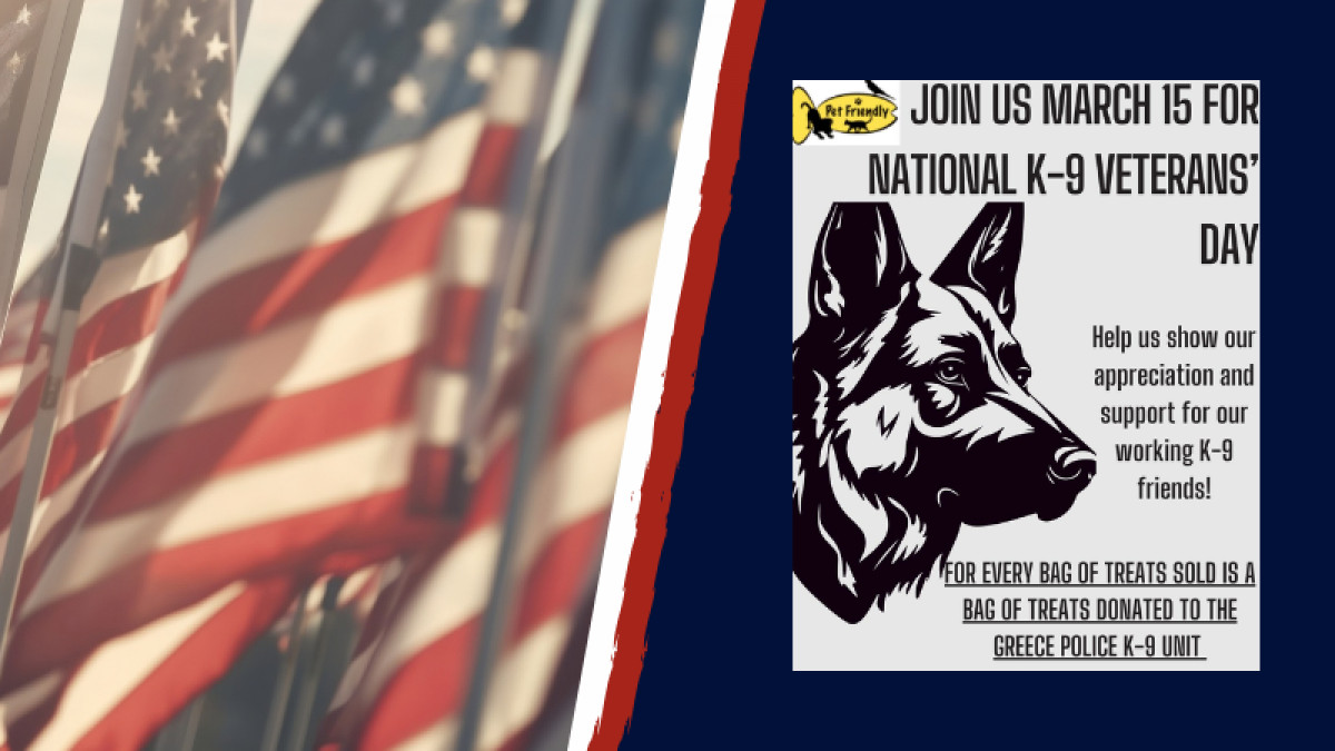 National K-9 Veterans' Day