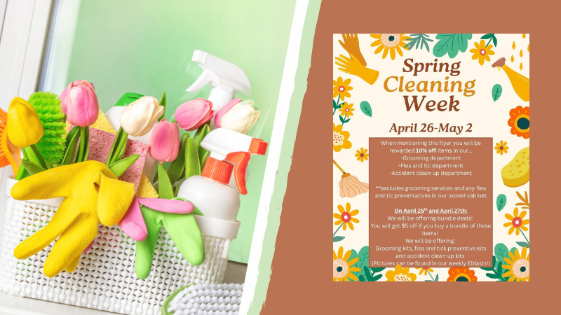 Spring Cleaning Week