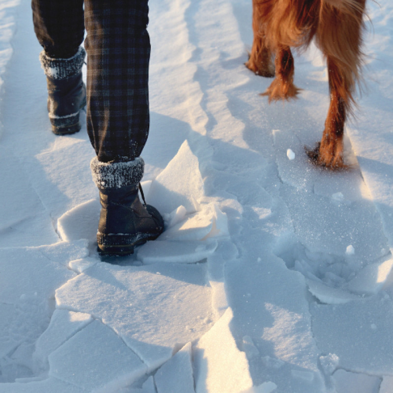 Step Into January Savings