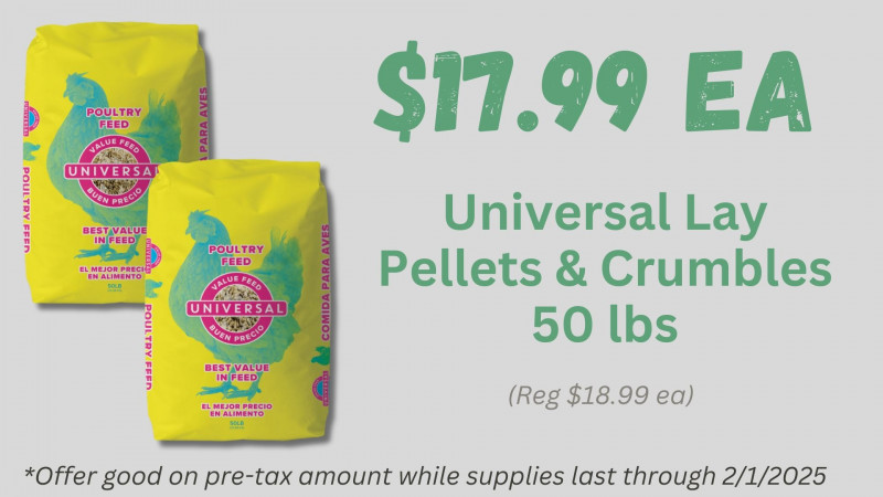 Universal Lay Pellets & Crumbles 50 lbs ONLY $17.99