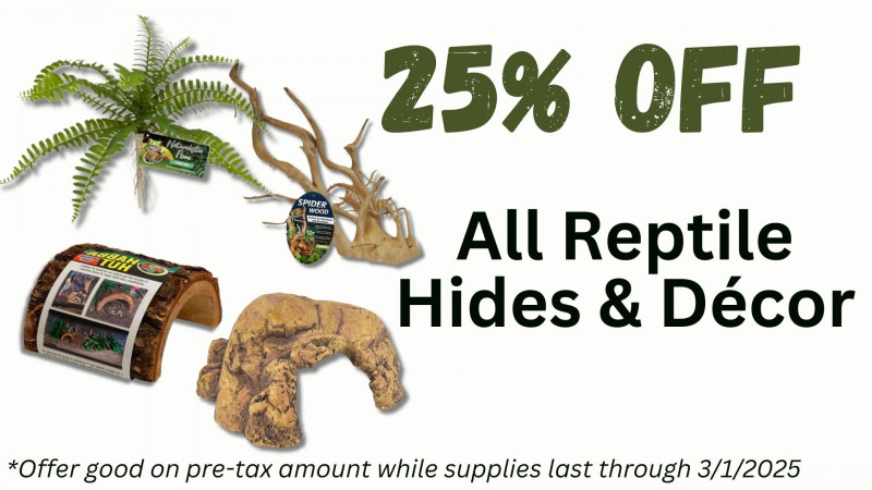 25% OFF All Reptile Hides and Decor