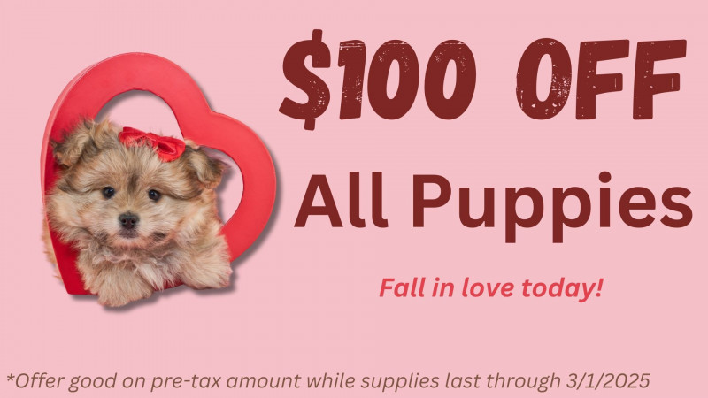 $100 OFF All Puppies (El Mirage & Mesa locations only)