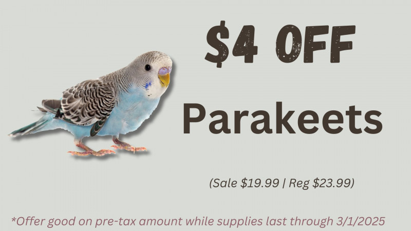 $4 OFF Parakeets