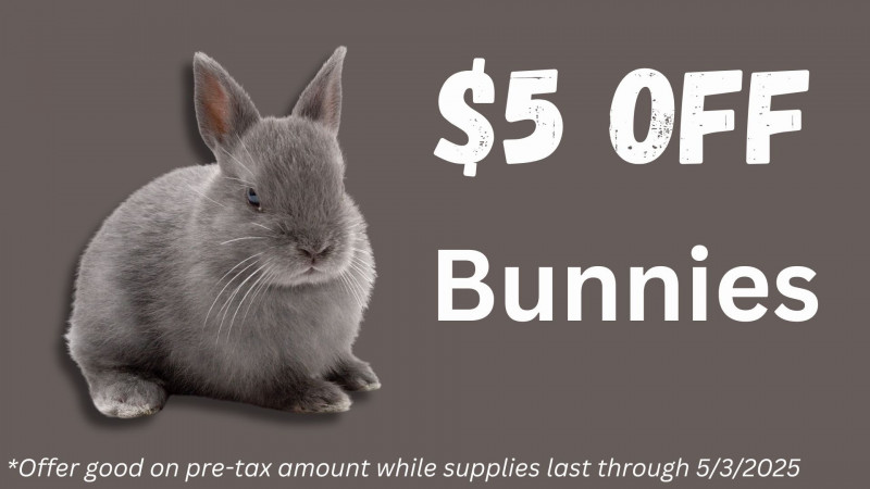 $5 OFF All Bunnies