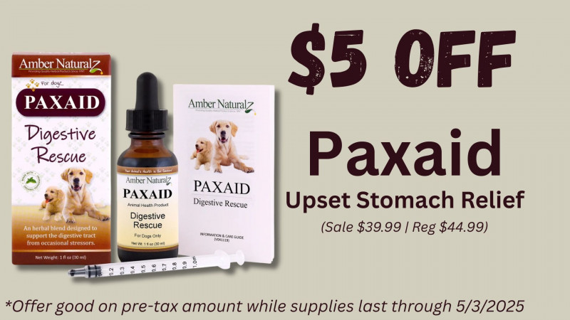 $5 OFF Paxaid upset stomach relief