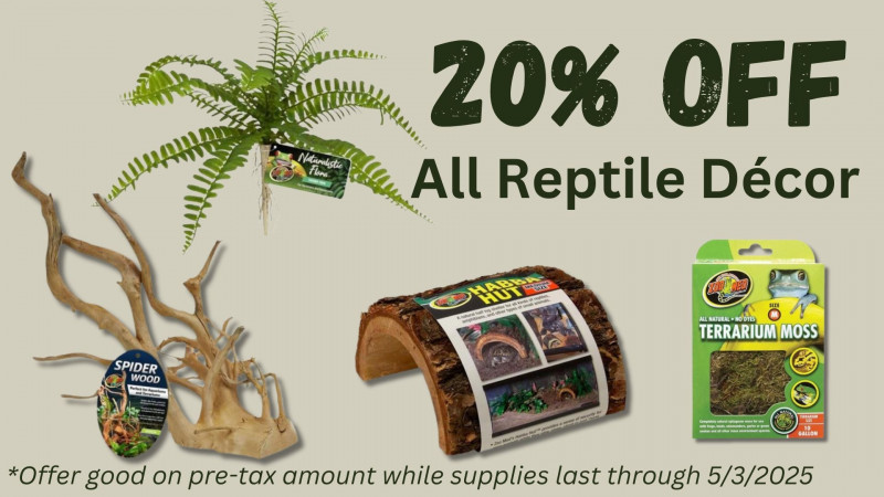 20% OFF All Reptile Decor