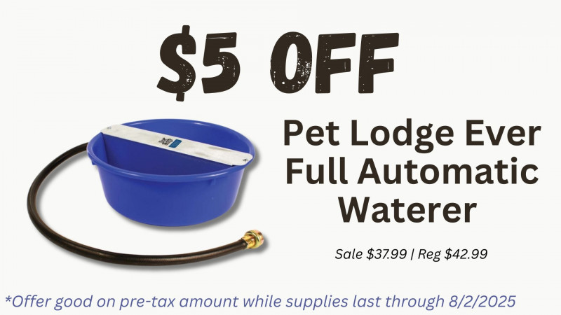 $5 OFF Pet Lodge Ever Full Automatic Waterer