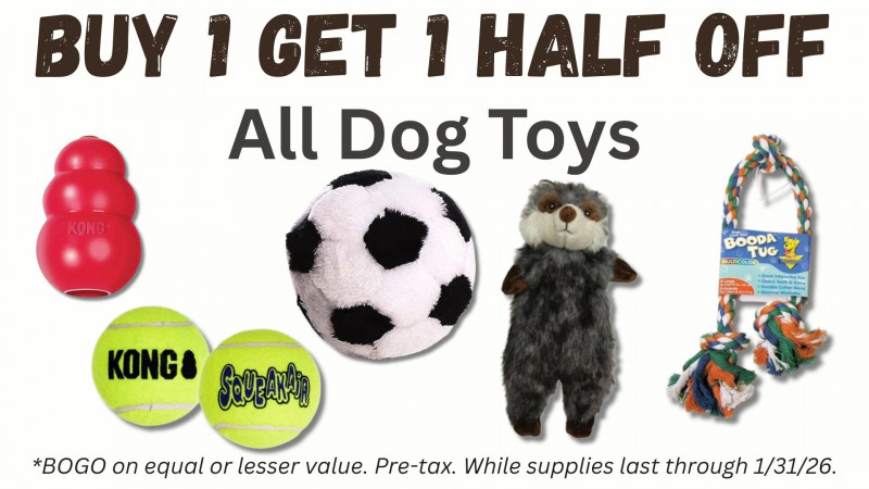 All Dog Toys BOGO 50% OFF