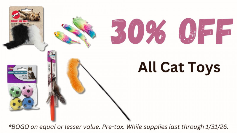 All Cat Toys 30% OFF