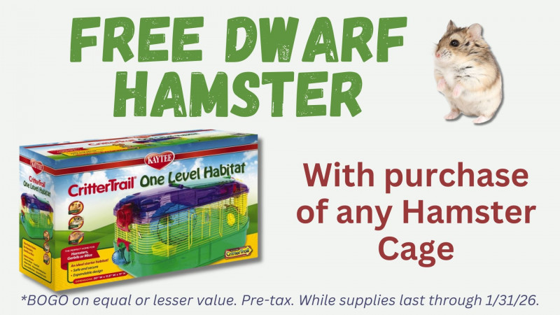 FREE Dwarf Hamster (with purchase of any Hamster Cage)