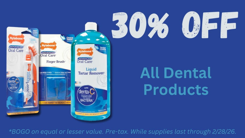 30% OFF All Dental Products
