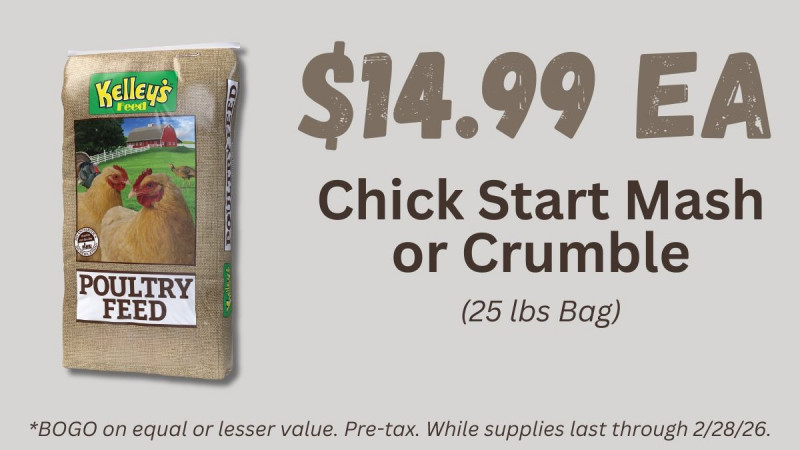 Chick Start Mash or Crumble 25 lbs ONLY $14.99 each