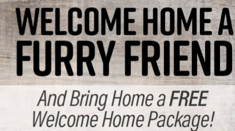 New Pet? Free Welcome Home Gift Pack! ❤