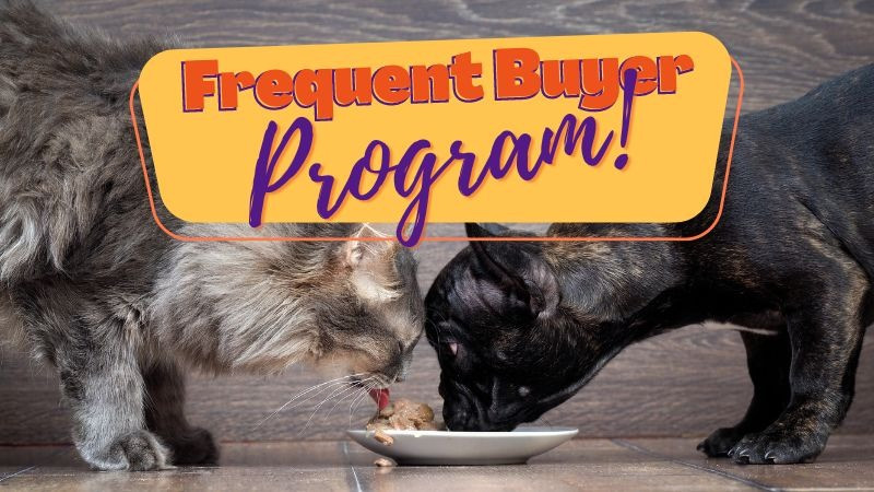 Frequent Buyer Programs