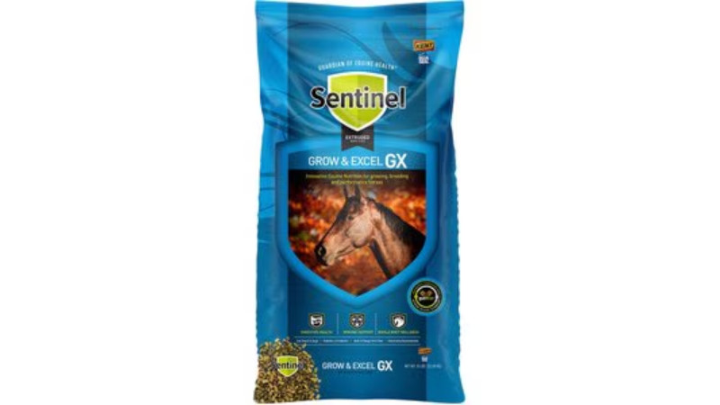 🐴 Blue Seal Horse Feeds
