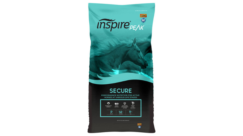 Blue Seal Inspire Peak Secure