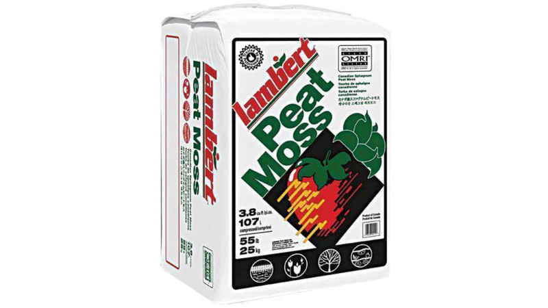 🌿 Peat Moss