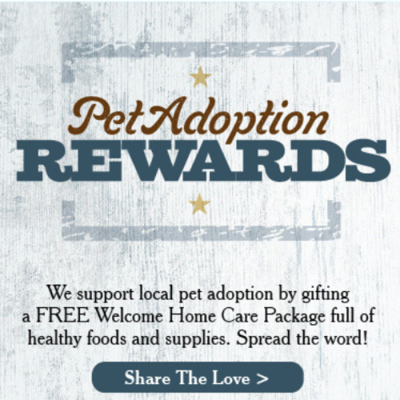 Pet Adoption Rewards