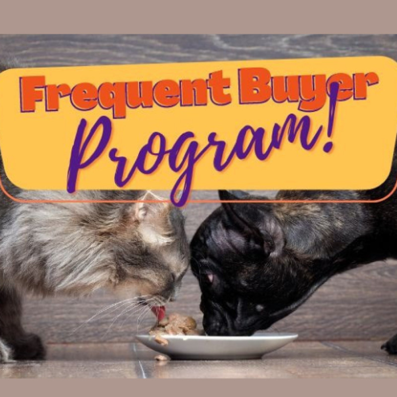 Frequent Buyer Programs