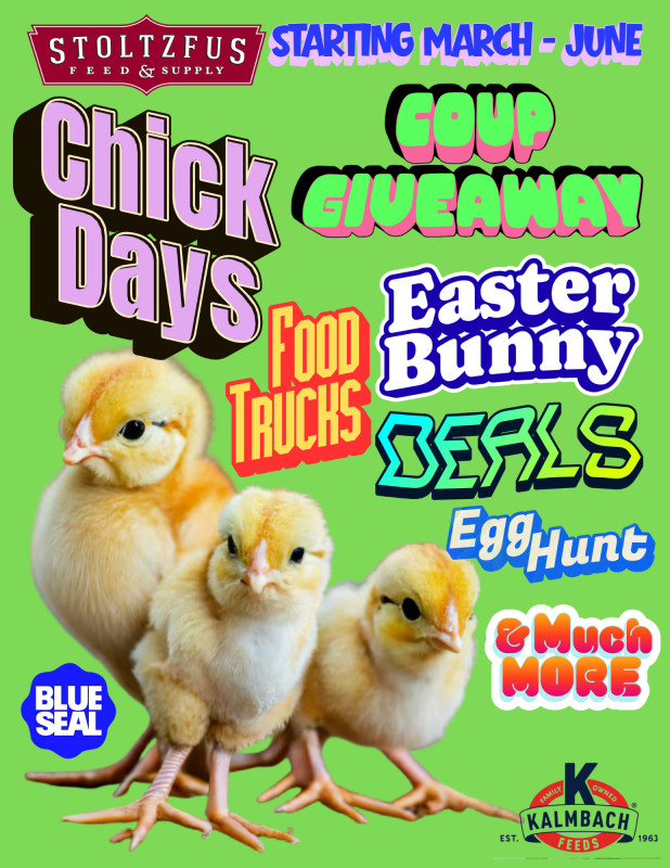 Chick Days!