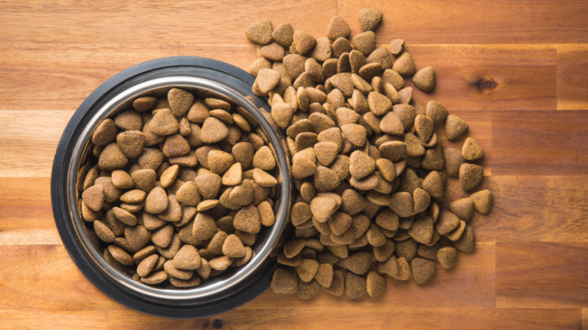 Victor Pet Foods Recall