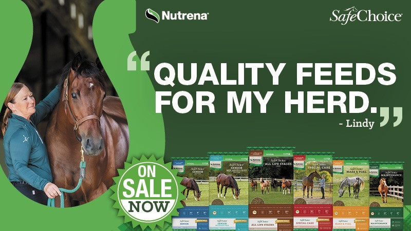 Nutrena SafeChoice Feed Sale